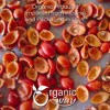 Organic Rose Hips Fruit Cut & Sifted 8 Oz - 2 of 4