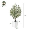 Artificial Olive Tree 5ft/6ft Tall Faux Indoor Plant - Realistic Green Leaves and Black Olives - Decorative Potted Tree for Living Room Home Office - 3 of 4