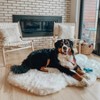 PAW BRANDS PupRug Faux Fur Orthopedic Luxury Dog Bed - 3 of 4