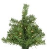 Vickerman 7' x 36" Artificial Slim Spruce Tree 300 Clear Mini Lights, 610Tips, Metal Stand - 2 of 4