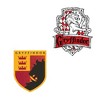 Harry Potter Gryffindor Sticker Pack Die Cut Vinyl Large Deluxe Stickers Variety Pack - 3 of 4