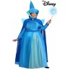 HalloweenCostumes.com Women's Plus Size Disney Sleeping Beauty Merryweather Costume, Blue Fairy Godmother Cosplay Outfit - 2 of 4