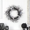Nearly Natural 30" Halloween Gazing Eyeballs Twig Wreath - 4 of 4