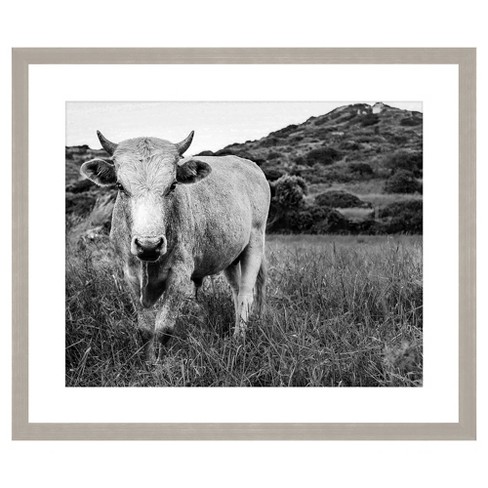 Lonely Cow 22x18 Wall Art Target