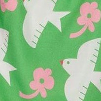 green with white and pink bird