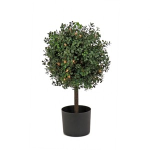 National Tree Company 24" Pre-Lit Boxwood Single Ball Topiary in Nursery Pot Artificial Tree: Faux Plant Decor, No Assembly Required - 1 of 3