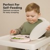 3-Pack Prep Suction Plates with Lids, 100% Silicone Baby Plates with Lid, BPA-Free Kids Divided Toddler Plates - 4 of 4
