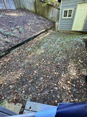 Guest review image 5 of 5, zoom in