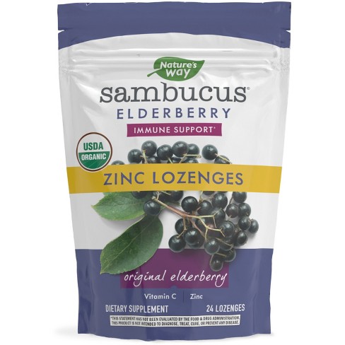 Nature's Way Sambucus Organic Elderberry And Zinc Lozenges - 24ct : Target