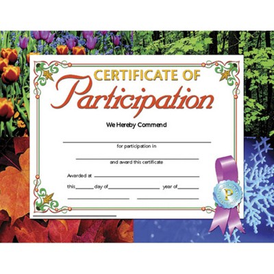 Hayes Publishing Certificate of Participation, 8.5" x 11", Pack of 30 (Case of 4)