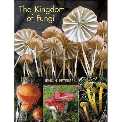 The Kingdom of Fungi - by  Jens H Petersen (Hardcover)