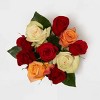 Rainbow Rose Bunch - Good Little Garden™ - 2 of 4