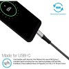 Naztech USB-C to USB-C 2.0 Chg/Snc Cable 4' Braided - 3 of 4
