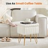 Okak Exquisite Storage Ottoman Bench Coffee Table, Vanity Stool Chair, Soft Upholstered Makeup Footrest for Couch Living Room Bedroom Entrance, White - 2 of 4