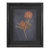 Melrose Framed Botanical Print (Set of 2) - 2 of 3