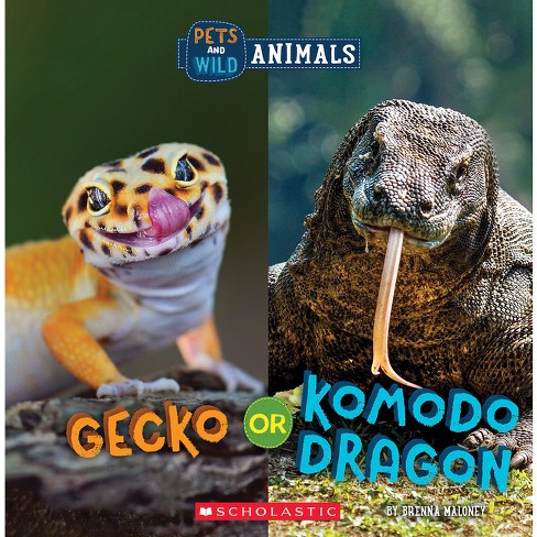 Komodo lizard hot sale pet