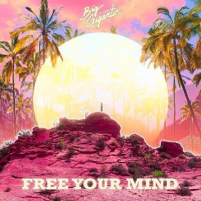 BIG GIGANTIC - Free Your Mind (Vinyl)