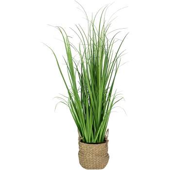 Northlight 28" Artificial Onion Grass Plant in Basket