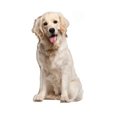 LEMONSODA Cardboard Cutouts (Golden Retriever (Sitting))