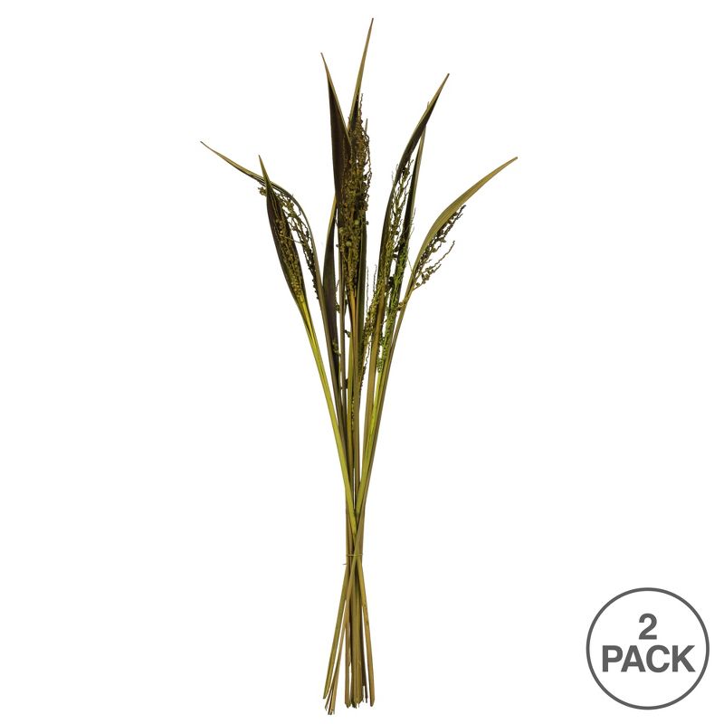Vickerman 36" Bahia Spears with Seeds, Dried 18 Pack, 5 of 6