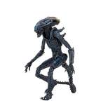NECA Alien vs Predator: Arachnoid  Alien 7" Scale Action Figure