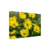 Trademark Fine Art - Harri Aho yellow field Matted Framed Art - 2 of 4