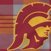 NCAA USC Trojans Plaid Steel Royal Plush Faux Shearling Blanket - 2 of 2