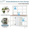 78" Walk-in Greenhouse-4 Skylights & 2 Folding Shelves for Outdoor Gardening - 3 of 3