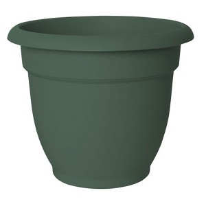 Bloem Ariana 8.5 in. H X 10 in. D Resin Planter Living Green - 1 of 1