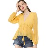Allegra K Women's Deep V Neck Chiffon Swiss Dots Ruffle Hem Long Sleeve Peplum Shirt - 3 of 4