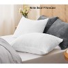 LISM 20x26 Inches Flannel Pillowcases with Zipper,Cozy Fuzzy Velvet Standard Pillow Shams Set of 2 - 2 of 4