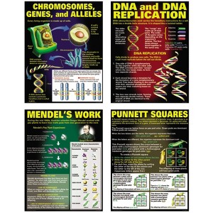 Mcdonald Publishing DNA & Heredity Posters, Set of 4 - 1 of 1