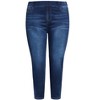 Avenue Women's Plus Size Petite Hi Rise Straight Jegging - 4 of 4