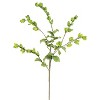 Leafy Limb Stem – 40"H Artificial Greenery with Bendable Leaves, EVA Foam & Wire Construction (Set of 6) By Kalalou - 2 of 3