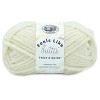 Lion Brand Feels Like Butta Thick & Quick Yarn - 2 of 4