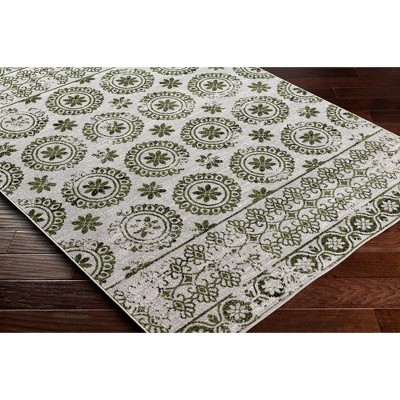 William Sage Green and Gray Washable Polyester Runner Rug