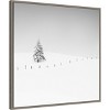 Amanti Art 30"x30" Lone Tree in Snow by Alexej Schulz Framed Canvas Wall Art Print - 2 of 4