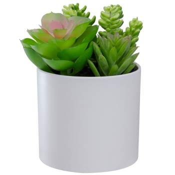 Northlight 5.5” Mixed Artificial Succulent Arrangement in a White Pot