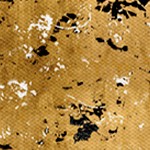 farmhouse gray