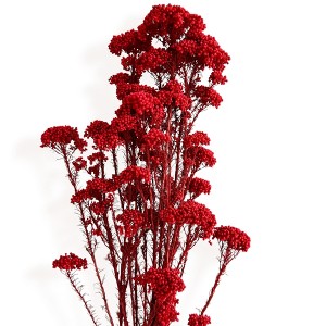 Alilang Decorative Dried Berry Stems for Home Decoration and Floral Arrangements, 17 Inches - 1 of 4