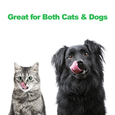 Black and Silver Elevated Double Dog Bowls with Stand