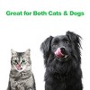 Pet Adobe Double Elevated Dog Bowls With Decorative Stand - Black/Silver - 4 of 4