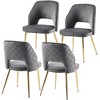 CENGHU Velvet Upholstered Dining Chairs Set of 4, Dining Chairs with Metal Legs and Hollow Back Upholstered - 3 of 4