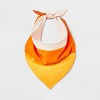 Reflective Candy Corn Costume Dog Bandana - Boots & Barkley™ One Size Fits Most - 2 of 4