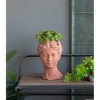 Gulches 11 Inch Gray Greek - Style Cement Head Planter for Indoor & Outdoor Garden Decor - 4 of 4