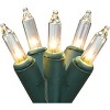 Brite Star 100ct Mini Christmas Lights Clear - 49.6' Green Wire - 2 of 4