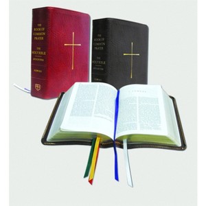 The Book of Common Prayer and Bible Combination Edition (NRSV with Apocrypha) - by  Church Publishing Incorporated (Leather Bound) - 1 of 1