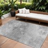 Silver Gray And Ivory Abstract Washable Indoor Outdoor Area Rug - 2 of 4