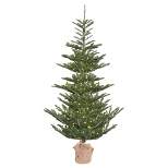 Vickerman Alberta Spruce Artificial Christmas Tree