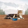 Blue Buffalo Wilderness Grain Free with Chicken Mature Premium Senior Dry Cat Food - 3 of 4